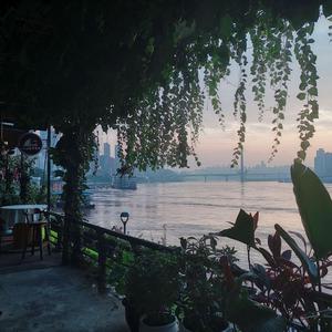 壮熊Gay搓澡工2023
